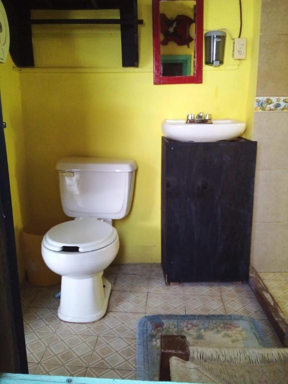 Posada "Jardin Huasteca Xilitla" Esterno foto